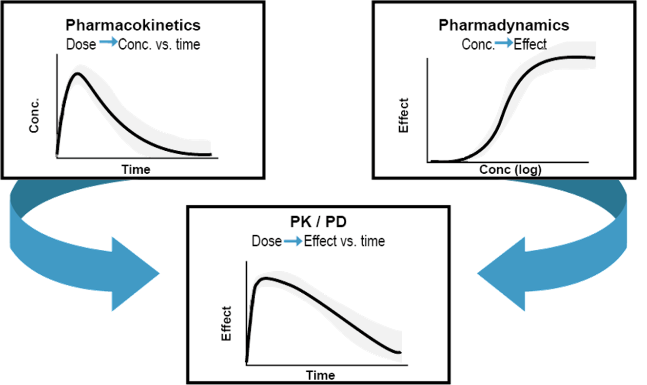 집단(population)의 분포값들을 고려한 PK-PD 모델링의 개념