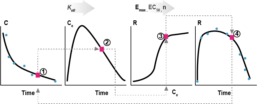 효과구획의 도식 (C: plasma concentration (Actually observed), Ce: effect compartment concentration (NOT observed, produced), R: response (Actually observed) (Gabrielsson 2006)