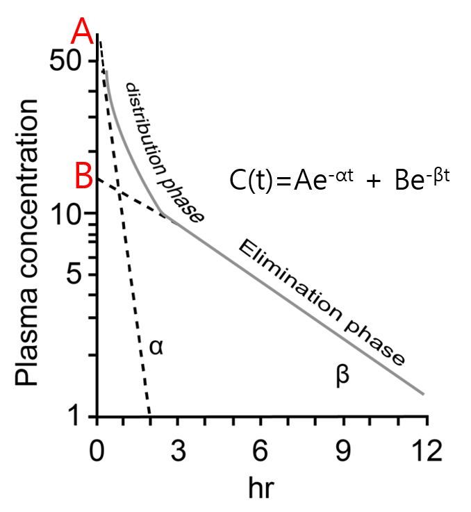 Biexponential model로 분석한 약동학 파라미터들
